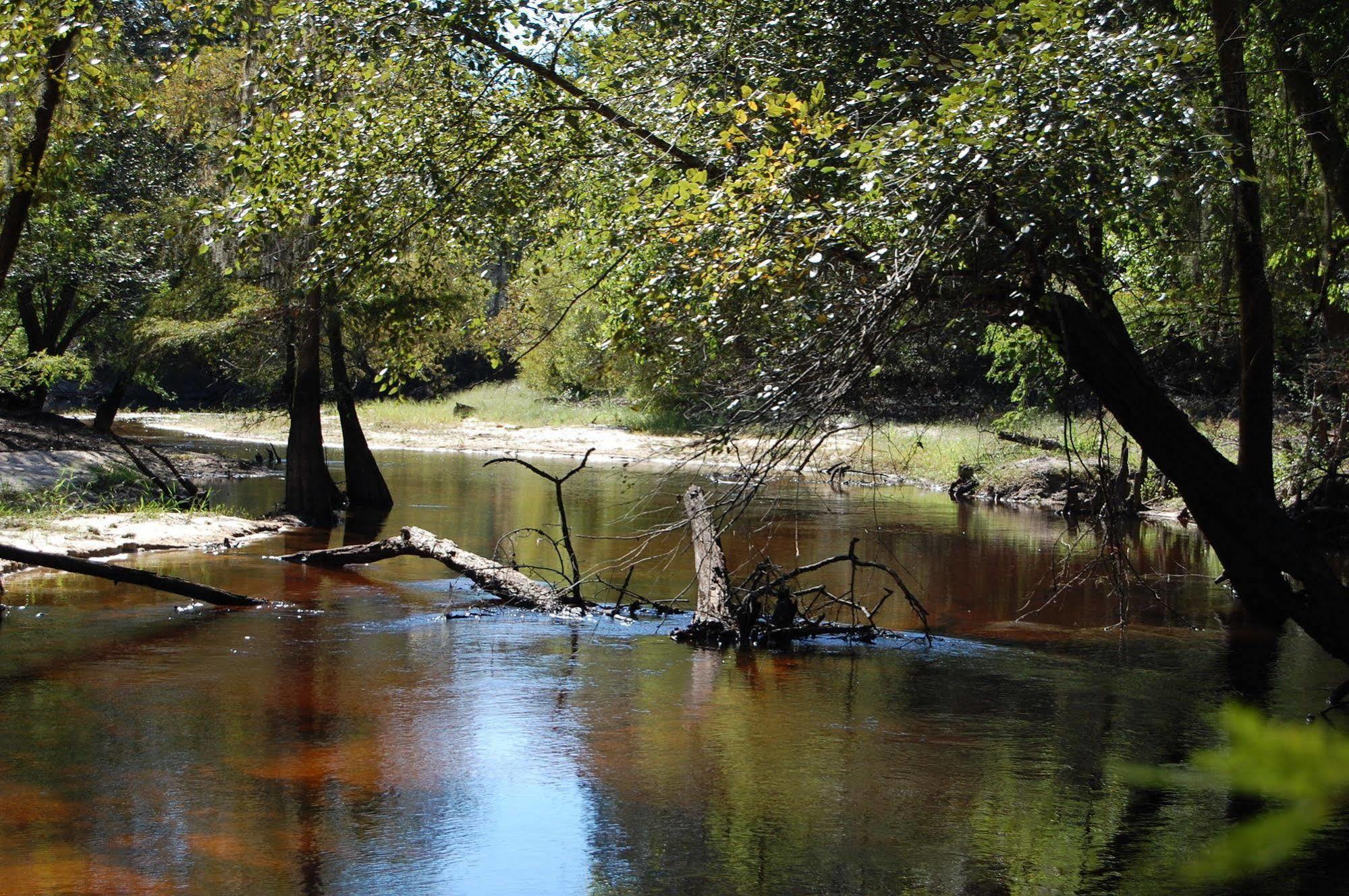 Red Fern Plantation Lodge Statesboro Dış mekan fotoğraf